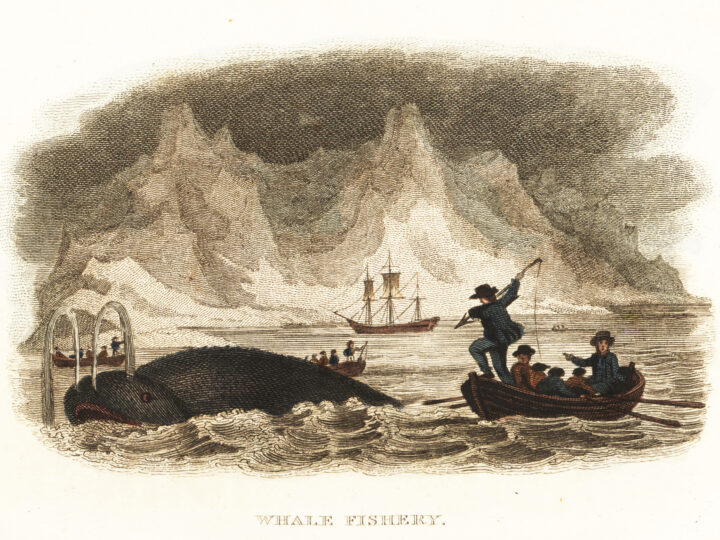 Конец нефтяной эры: вымрет ли «черное золото» как китовый жир?