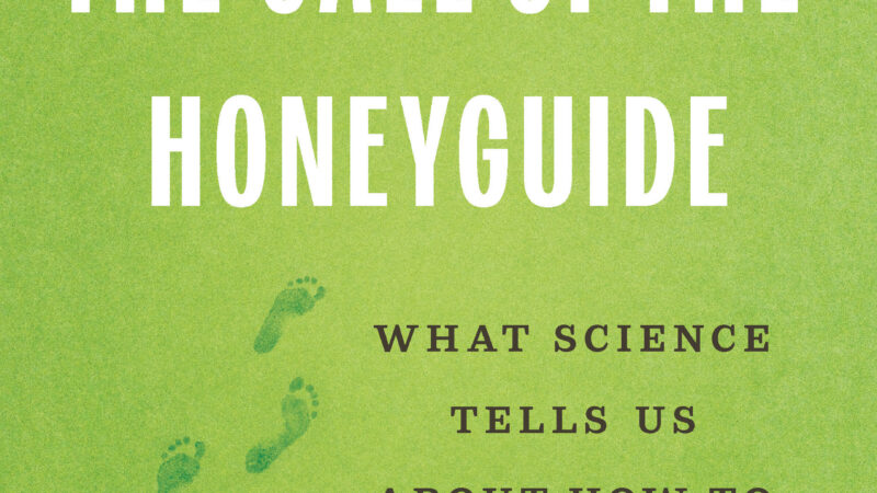 Невидимые союзы: почему мутуализм — главный секрет выживания человечества