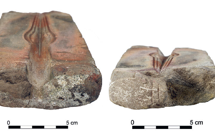 Сокровище под сараем: как камень из чешского сада переписал историю бронзового века
