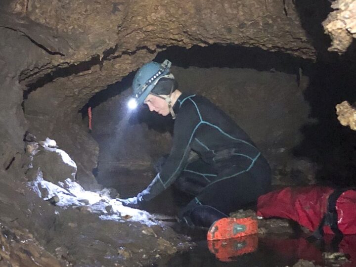 Сокровища ледникового периода: в пещере Техаса нашли гигантскую черепаху и броненосца размером со льва