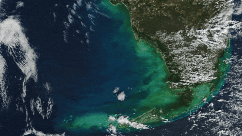 Ледяное дыхание Арктики: спутник заснял гигантский известковый водоворот у берегов Флориды