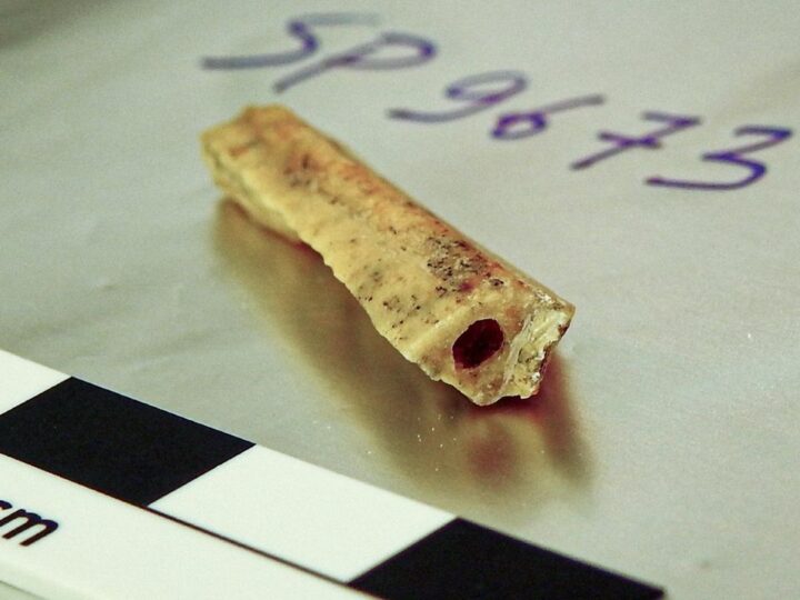 Два неандертальца из одной пещеры с разницей в 10 тысяч лет оказались дальними родственниками