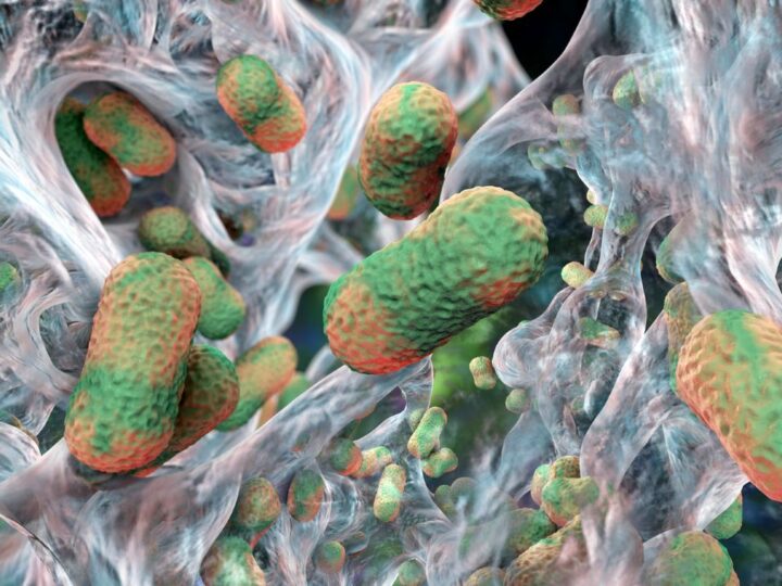 Ахиллесова пята супербактерий: уникальный сахар, который может стать ключом к победе над устойчивостью к антибиотикам