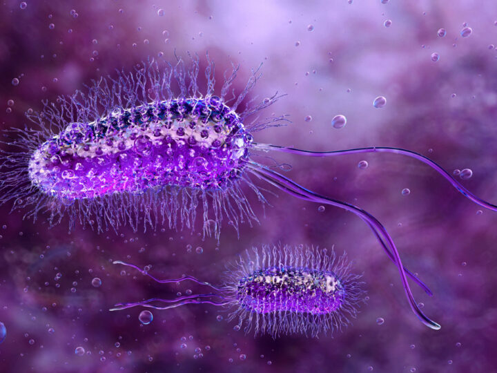 Хлебные крошки против нефти: учёные нашли способ добывать водород из пищевых отходов