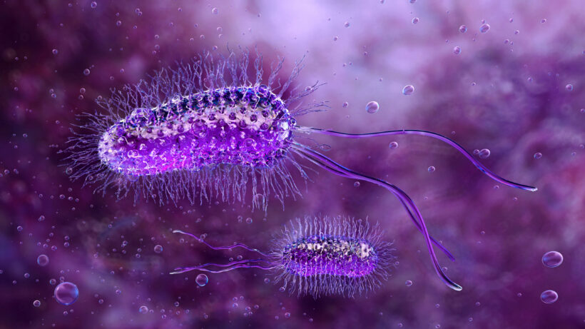 Хлебные крошки против нефти: учёные нашли способ добывать водород из пищевых отходов