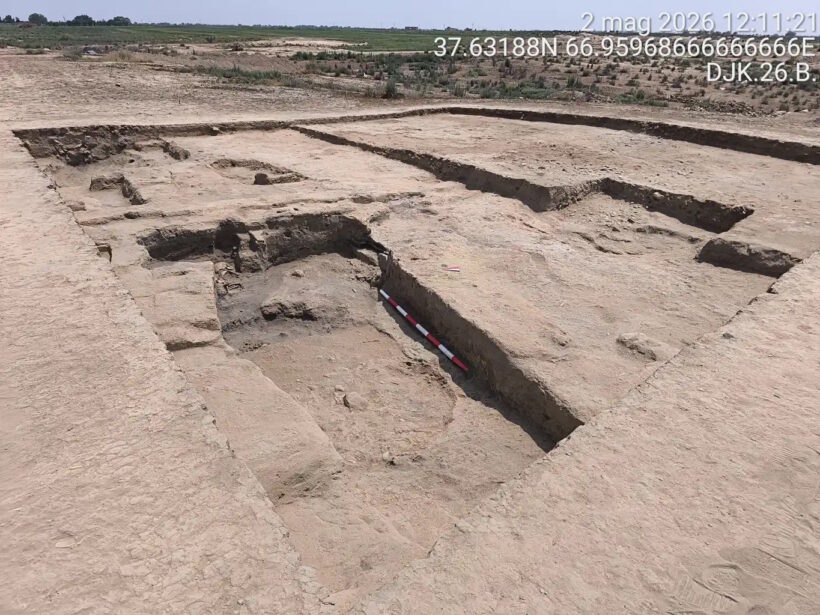 Древняя нейрохирургия: 4000-летний череп раскрывает тайны медицины бронзового века