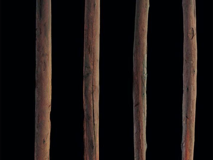 Копьё из тиса и метательные палки: какое оружие считается древнейшим на планете