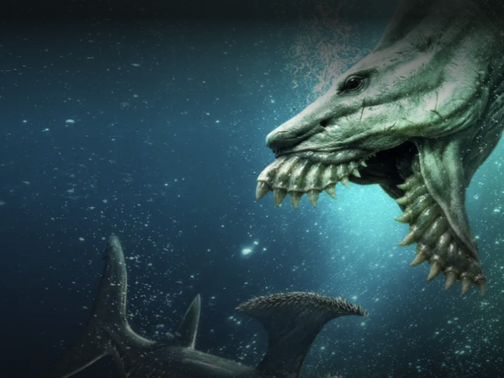 Предки и современники мегалодона: Shark Week воскрешает юрских суперхищников в спецвыпуске «Jurassic Sharks»