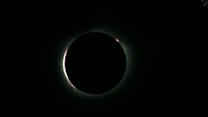 Кольцо Бейли, протуберанец и тёмная корона: NASA показало первые снимки полного солнечного затмения