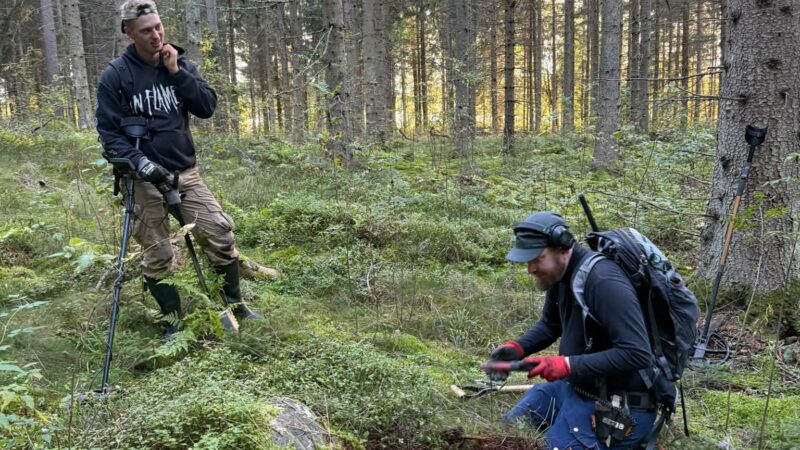 Крупнейший клад эпохи викингов найден в Финляндии