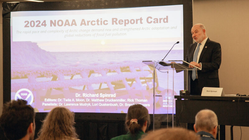 Арктика важнее, чем кажется: почему отчет ARC продолжат выпускать без NOAA