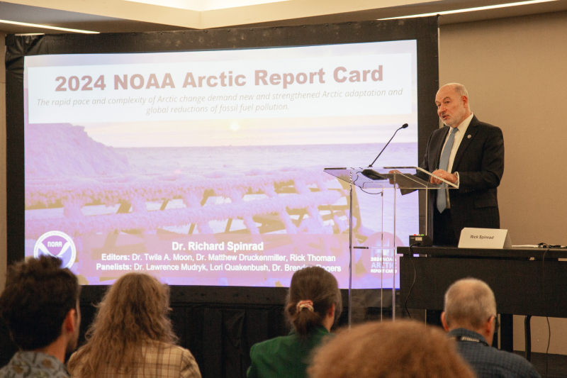 Арктика важнее, чем кажется: почему отчет ARC продолжат выпускать без NOAA