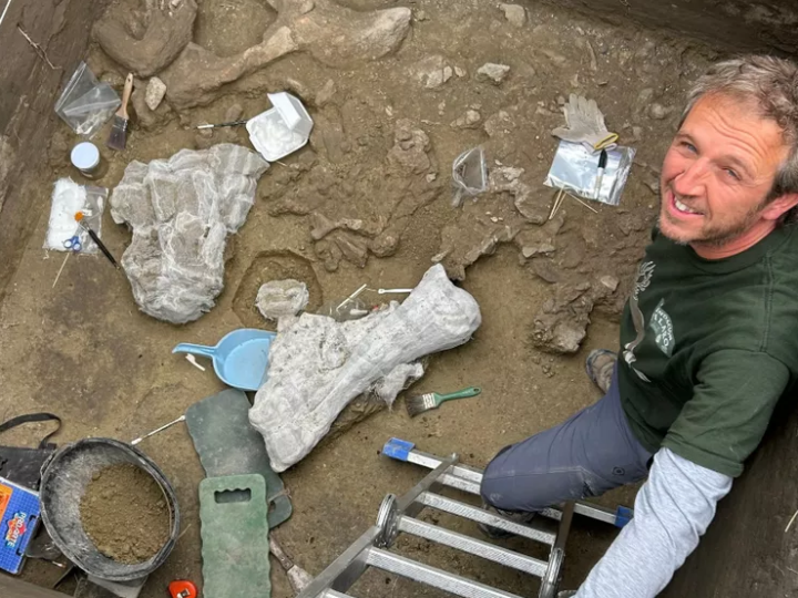 Первые люди в Чили охотились на слоноподобных гигантов 13 000 лет назад
