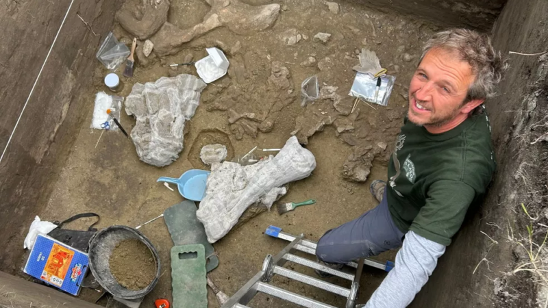 Первые люди в Чили охотились на слоноподобных гигантов 13 000 лет назад