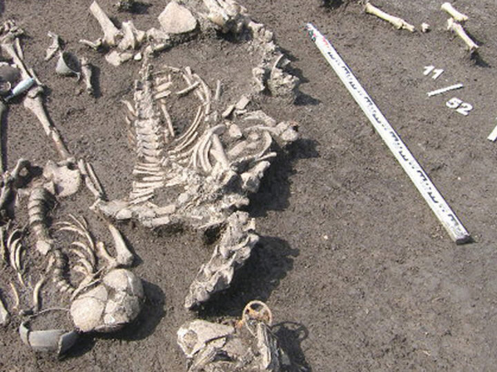 В России нашли 2000-летнюю могилу элитного воина с человеческим жертвоприношением
